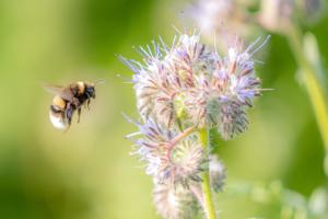 September 2020 - Breda Photo & Buiten