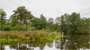 10 september: Andreas Schotel en meer