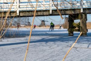 Berry-2-Winter Kinderdijk