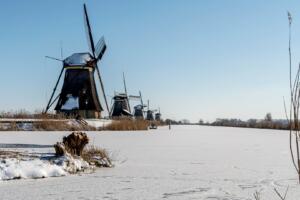 Berry-3-Winter Kinderdijk