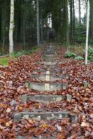 Lan-2: Goldene Treppe bij Tecklenburg